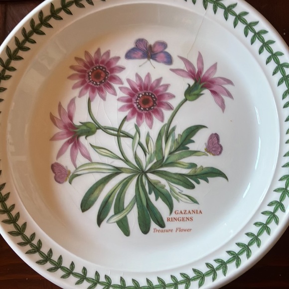 Botanic Gardens salad plates colorful and durable set of 4. 8-1/2 diameter - Picture 4 of 6